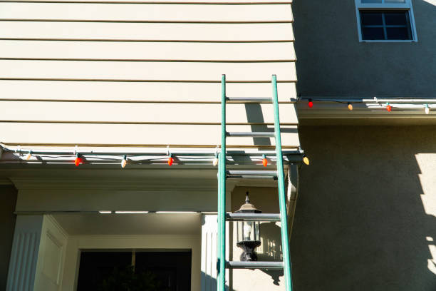 Best Custom Trim and Detailing for Siding  in Woodstown, NJ