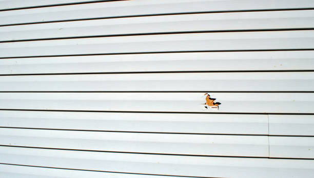 Best Fascia and Soffit Installation  in Woodstown, NJ