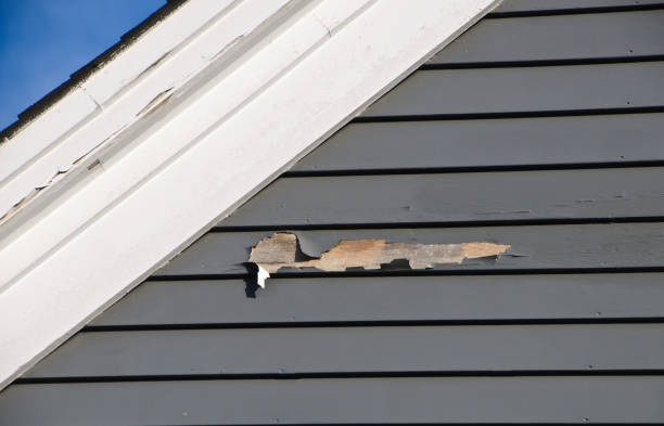Reliable Woodstown, NJ Siding Installation & Repair Solutions