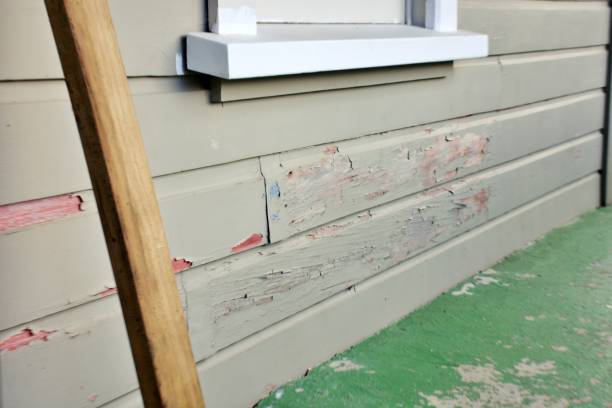 Best Composite Siding  in Woodstown, NJ
